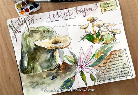 Mushroom Mycology Nature Journal Watercolor Sketches