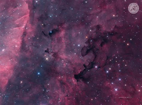 Dark Nebula Ldn881 Apod By