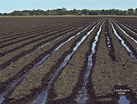 Home gardens are an integral part of local food systems and the agricultural landscape of through a rigorous literature review, this paper first examines definitions and characteristics of home gardens. Flood furrow irrigation, Moree NSW | Land preparation ...