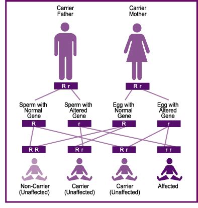 A recessive trait is expressed only in homozygous state in diploids as its effect is masked by presence of dominant allele in the heterozygous condition. NTSAD - Causes