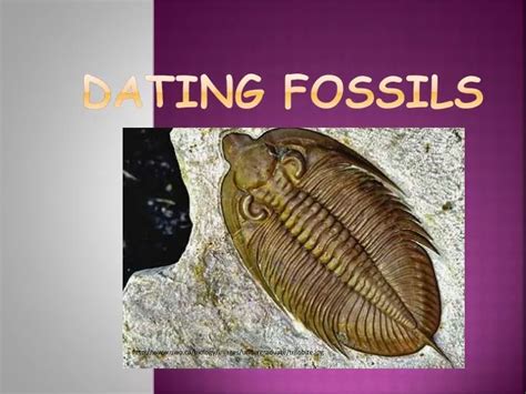 Ppt Dating Fossils Powerpoint Presentation Free Download Id 6052840