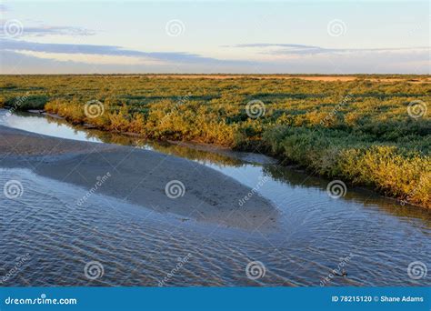 Bayou Lafourche, Louisiana stock photo. Image of meadow - 78215120