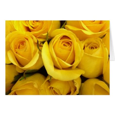 Yellow Rose Card Happy Birthday Zazzle