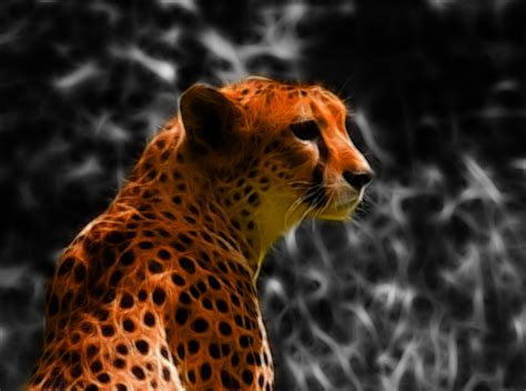 Wallpaper for 24 Inch Screen - WallpaperSafari