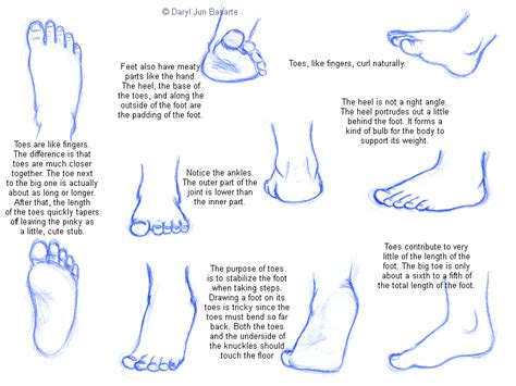 Day 136 How To Draw Feet Every Day A Drawing