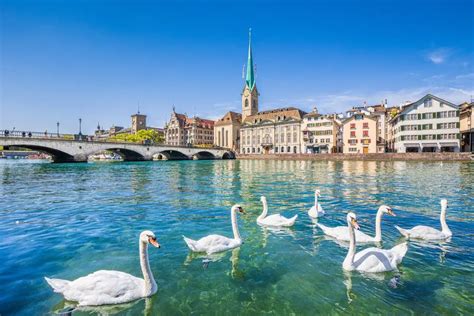 Discover The Top 25 Must Do Activities In Zürich Switzerland