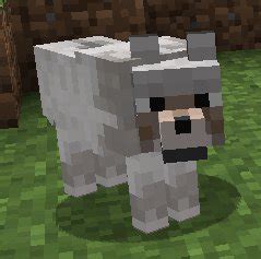 Baby wolf boy (part of the wolf family roleplay). The Quest of Willie the Wolf(Part 1) Minecraft Blog