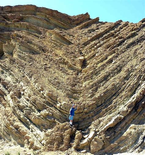 Syncline Folds California Geology In