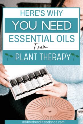 Plant Therapy Essential Oils Review Is It Worth It Motherhood Life