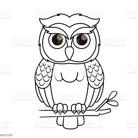 Vector Illustration Of Owl Isolated On White Background