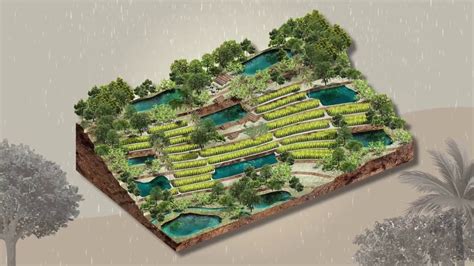 เกษตรทฤษฎีใหม่(3/8): การเก็บน้ำด้วยโคก หนอง นา โมเดล | การออกแบบสวนผัก ...