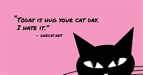 Hugging your cat is proven to be good for your health, so grab your cat and give it a hug. Hug Your Cat Day | Hug your cat day, Hug you, Cats