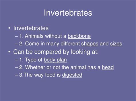 Ppt Invertebrates Powerpoint Presentation Free Download Id5490549