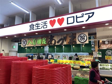 【バスをご利用の場合】 京阪バス『星田駅』発『寝屋川市駅』行き、『ビバモール寝屋川』で下車すぐ近く。 【車をご利用の場合】 第二京阪沿い。 京都方面から寝屋川北i.c.下りて『寝屋東』交差点を右折。 【大阪寝屋川】超激安ロピアはわんこ不可だが島忠ホームズ店 ...