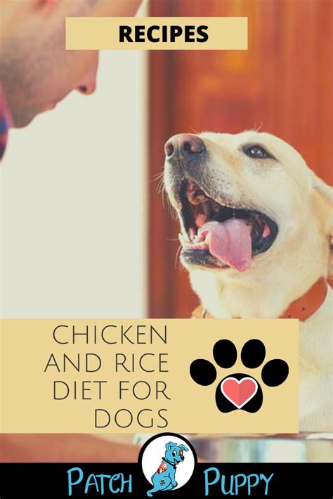 Three parts of plain cooked rice and one part of boiled, unseasoned, boneless chicken. Chicken and Rice Diet for Dogs | Rice diet, Boiled chicken ...