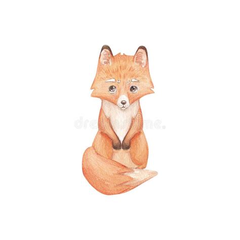 Cute Fox Watercolor On A White Background Children S Watercolor