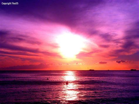 Free Download Purple Sunset On The Beach 8741 Hd Wallpapers In Beach