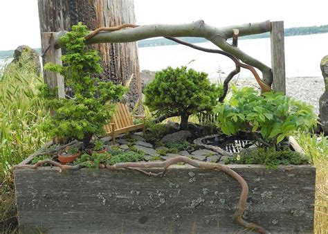 New Miniature Garden Plants For Indoor Or Outdoor ‣ The Mini Garden Guru