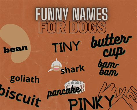 The Most Popular Big Dog Names Unique Names For Your Giant Dog Hello