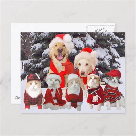 Customizable Funny Pet Christmas Post Card Pet Holiday