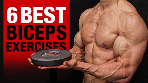 6 Best Biceps Exercises Dont Skip These Youtube