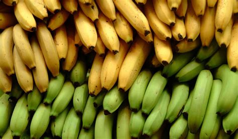 Unripe vs. Ripe bananas: Which to Choose?