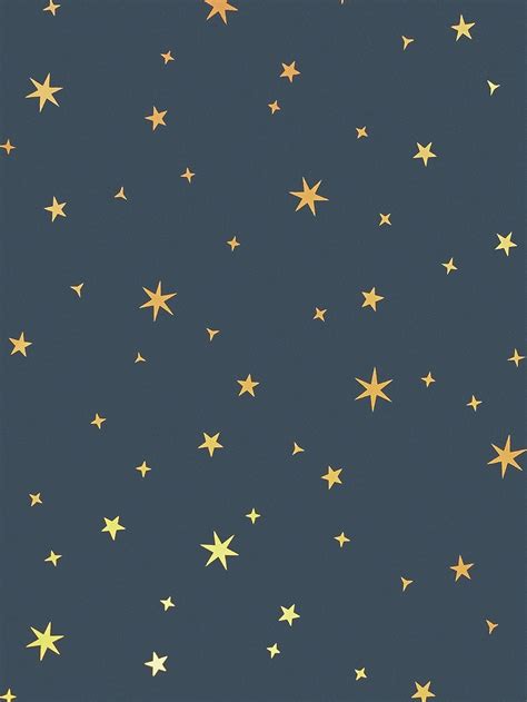 Constellation Stencil Night Sky Ceiling Shelly Lighting