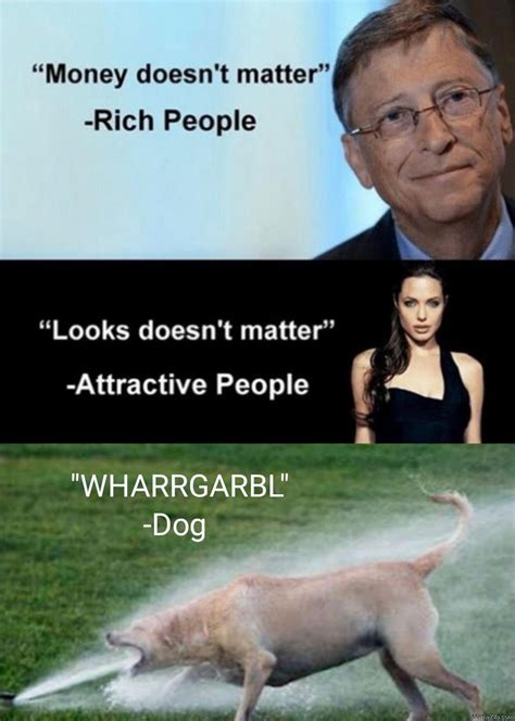 Money doesnt matter Rich people Wharrgarbl Dog meme - MemeZila.com