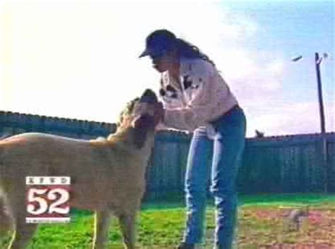 Dec 16, 2020 · the chapter talks about how they got each of their five dogs: 