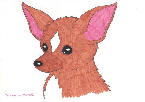 Chihuahua By Iriswinter On Deviantart