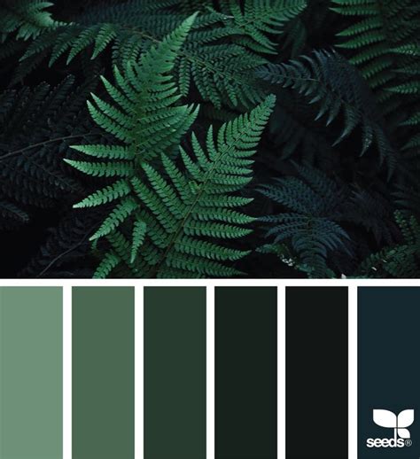 Olive Forest Green Paint Color Green Colour Palette Forest Green