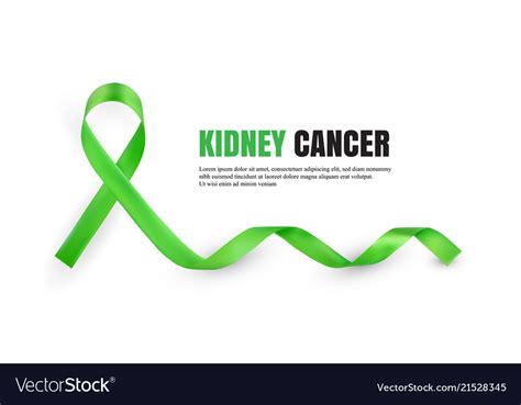 Green Kidney Cancer Awareness Symbolic Ribbon Vector Image