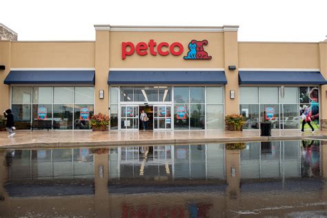 Pet care retailer Petco shares surge more than 60% as it returns to