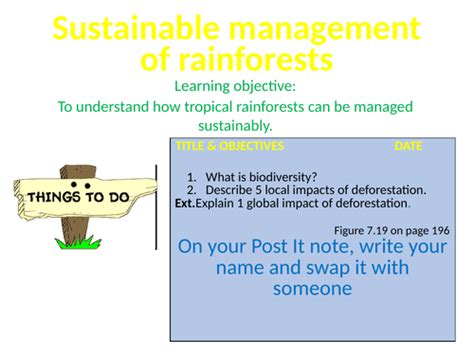 Sustainable Management Of Tropical Rainforests Teaching Resources
