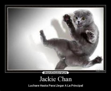 Jackie Chan Desmotivaciones