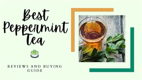 Top 8 Best Peppermint Tea Reviews 2021 Talbottteas