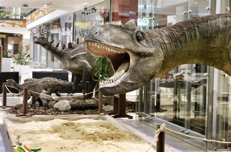 Dinozaury W Galerii Jurajskiej Już Od Soboty Zamieszka W Niej 8