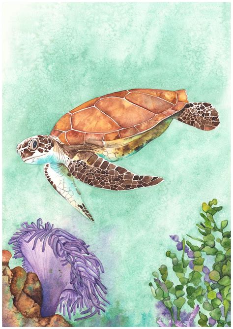 Sea Turtle Print St Sea Turtle Watercolour Painting Sea Turtle