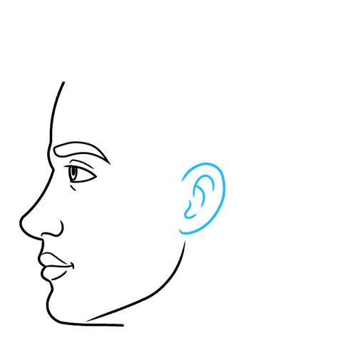 How To Draw Male Face Side View