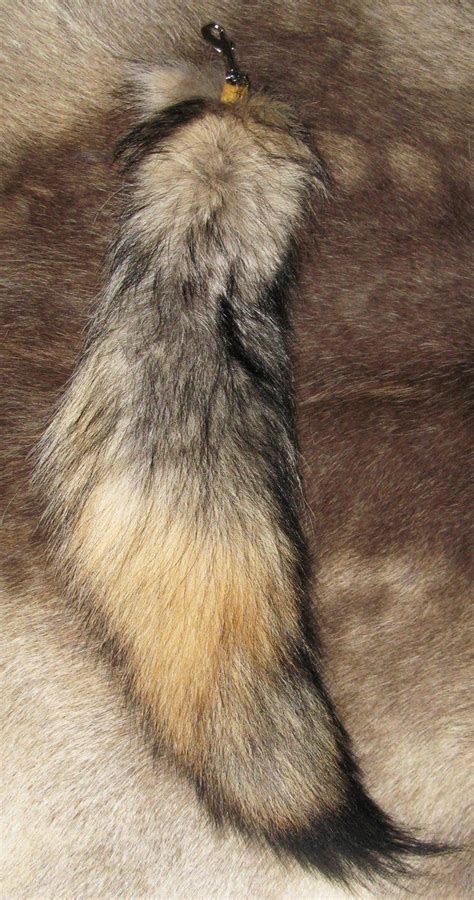20 Best Tails Images On Pinterest Wolf Tail Cosplay Ideas And