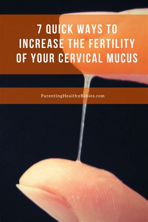 Cervical Mucus Early Pregnancy Types How To Check Mor