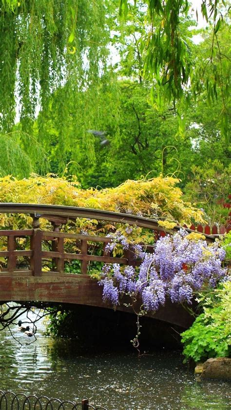 Wooden Bridge Blue Flowers Green Trees Android Wallpaper Free Download