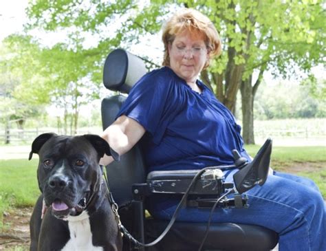 Woman Raising Money To Train Her Service Dog Salisbury Post