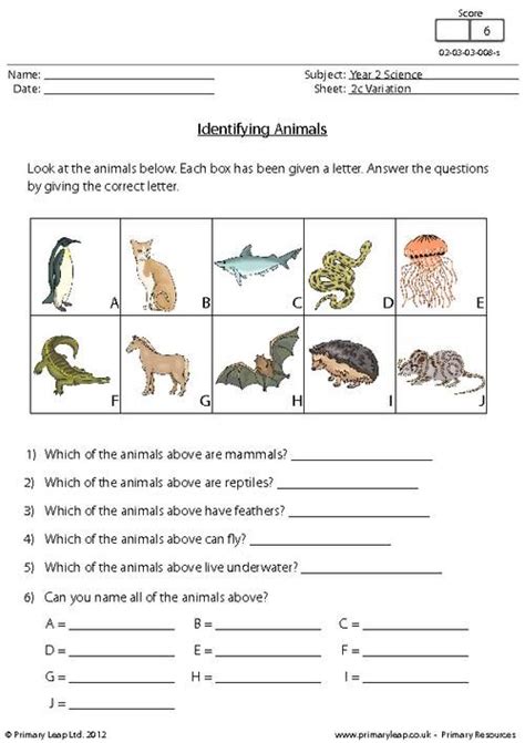 Amphibians Worksheet For Grade 3