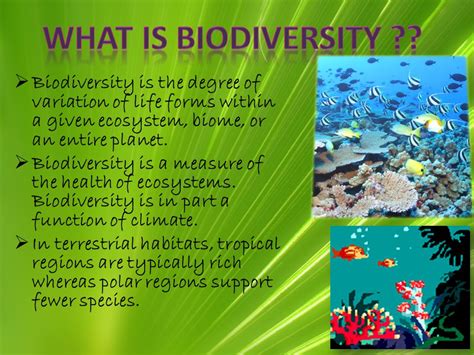 Conservation Of Biodiversity Ppt Download