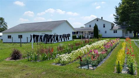 Explore Indiana Amish Country A Perfect Weekend Itinerary