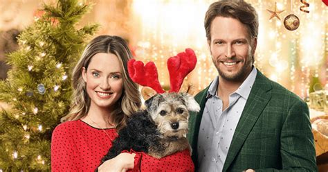 Picture A Perfect Christmas Release Date Plot Cast Trailer And Everything You Need To