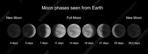 Phases Of The Moon Illustration Stock Image C0383831 Science