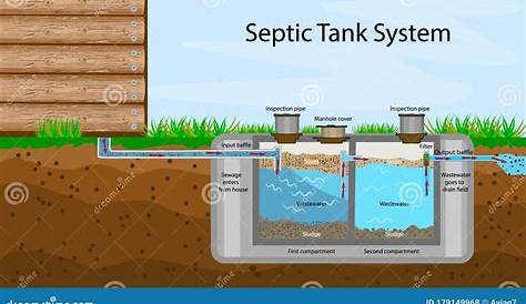 Septic Tank Diagram. Septic System and Drain Field Scheme. Stock Vector