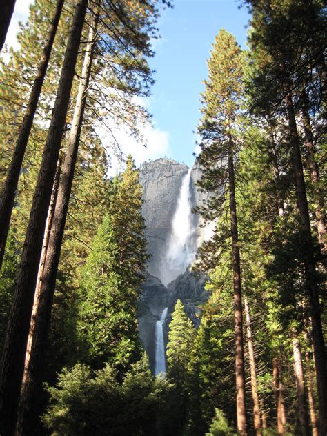 Elige el servicio nacional que se ajuste a tus necesidades. El Parque Nacional "Yosemite" en California:Fotos